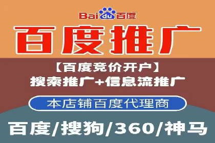 百度竞价赚钱技巧：实战案例分析